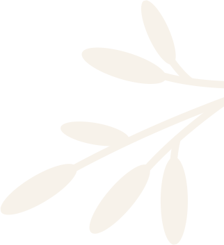 Our Specialties design