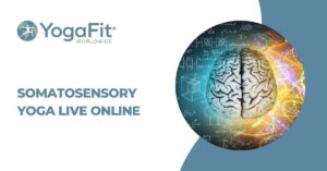 Somatosensory Yoga 1 LIVE Online