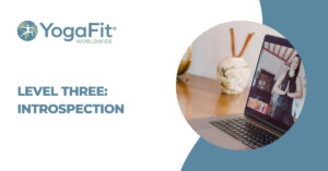 LEVEL THREE: Introspection